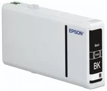 Epson C13T79014010