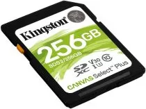 Kingston SDS2/256GB