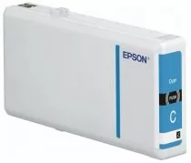 Epson C13T79024010
