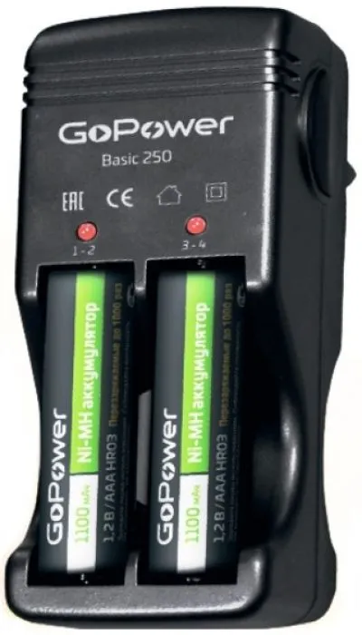 GoPower Basic 250