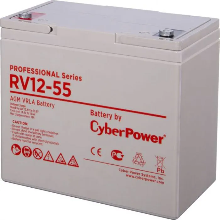 CyberPower RV 12-55