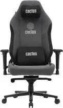 Cactus CS-CHR-MAG-GY