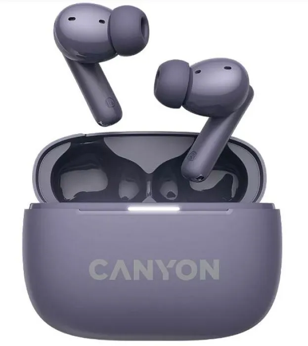 Canyon TWS-10