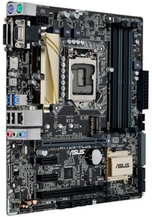 фото ASUS H170M-PLUS