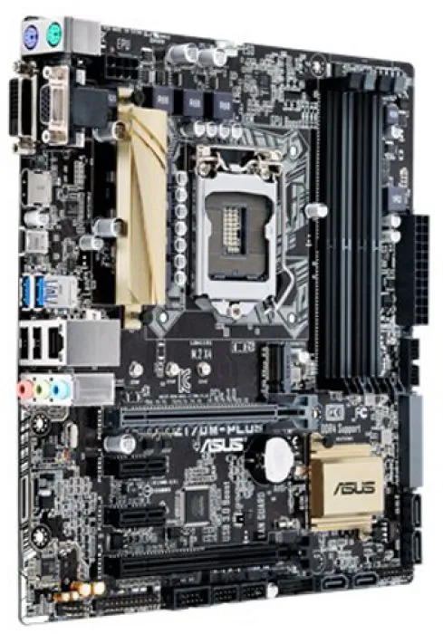 фото ASUS Z170M-PLUS