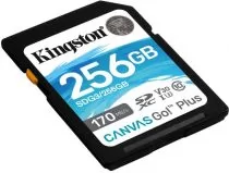 фото Kingston SDG3/256GB