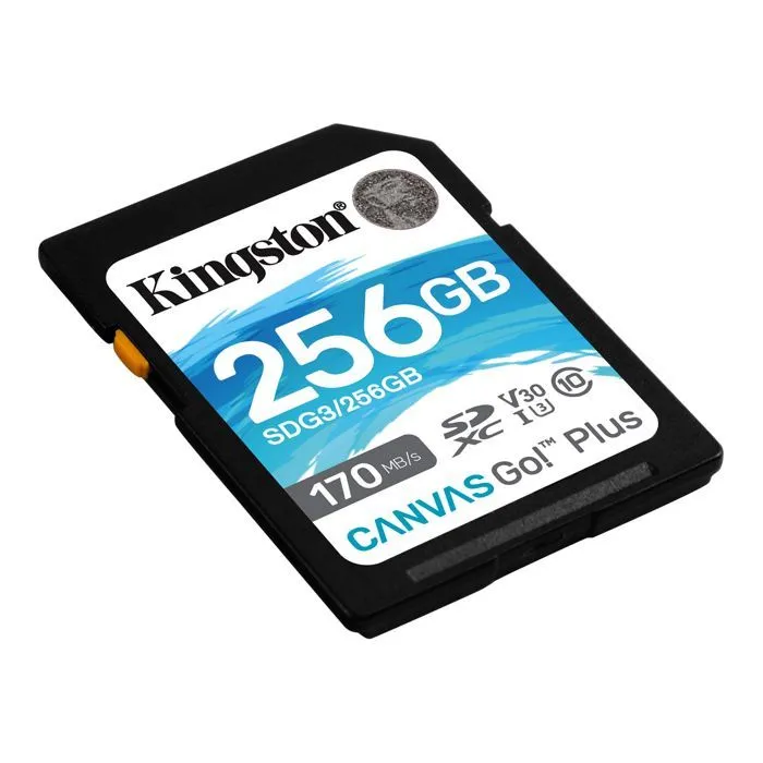 фото Kingston SDG3/256GB