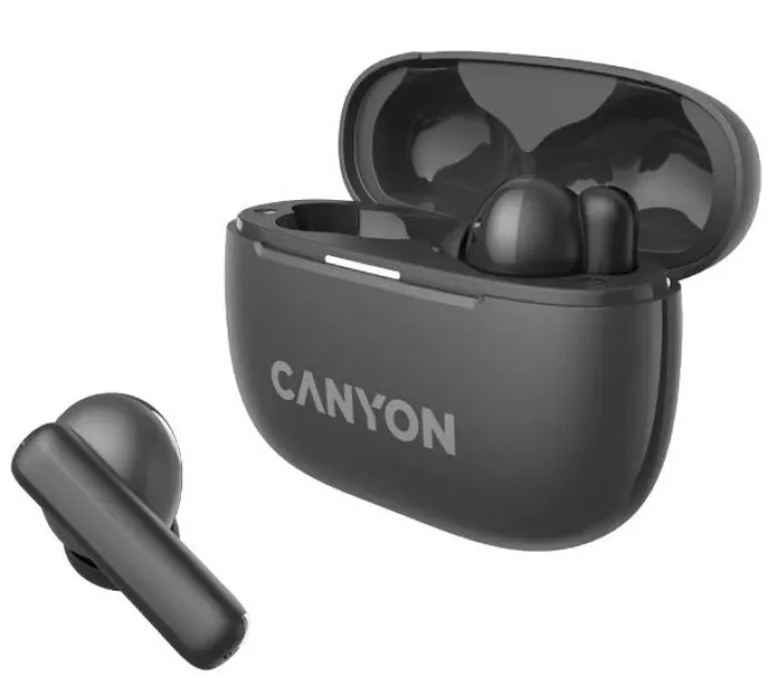 Canyon TWS-10