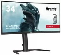 Iiyama G-Master