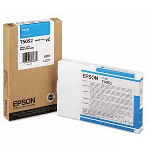 Epson C13T613200