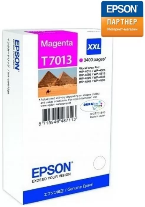 Epson C13T70134010