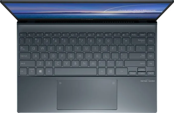 ASUS Zenbook 13 UX325JA-EG130R