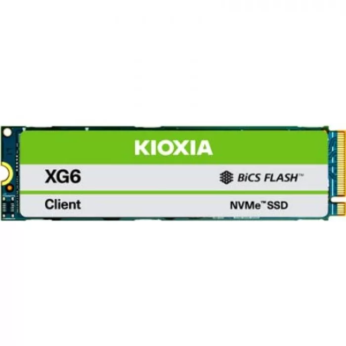 Toshiba (KIOXIA) KXG60ZNV256G