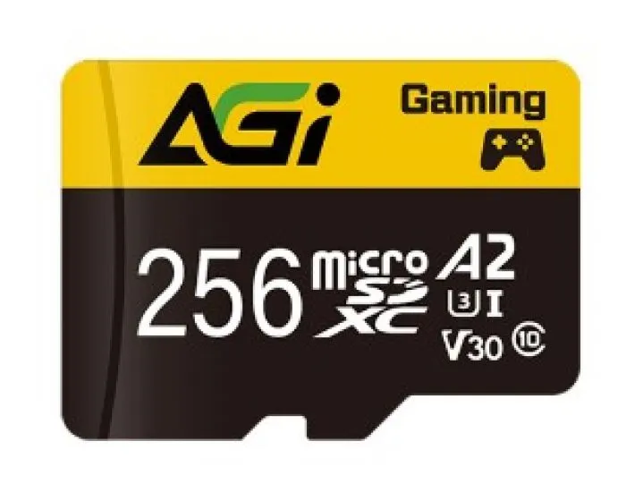 AGI AGI256GGSTF138