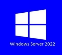Microsoft Windows 2022 Standard Server English 16 Core OEI DVD Pack