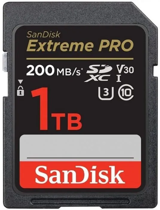 SanDisk SDSDXXD-1T00-GN4IN