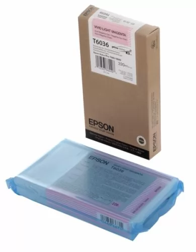 Epson C13T603600