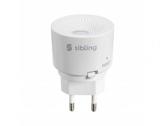 Sibling Powernet-GT