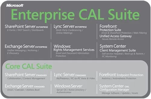 Microsoft Enterprise CAL AllLng LicSAPk OLV NL 1Y Pltfrm DvcCAL wSrvcs