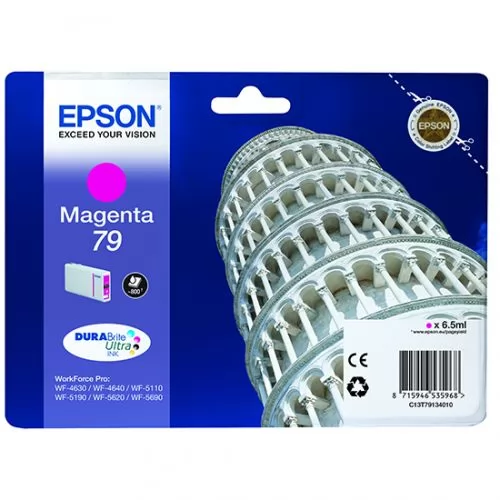 Epson C13T79134010