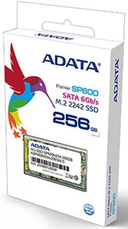 A-Data ASP600NS34-256GM-C