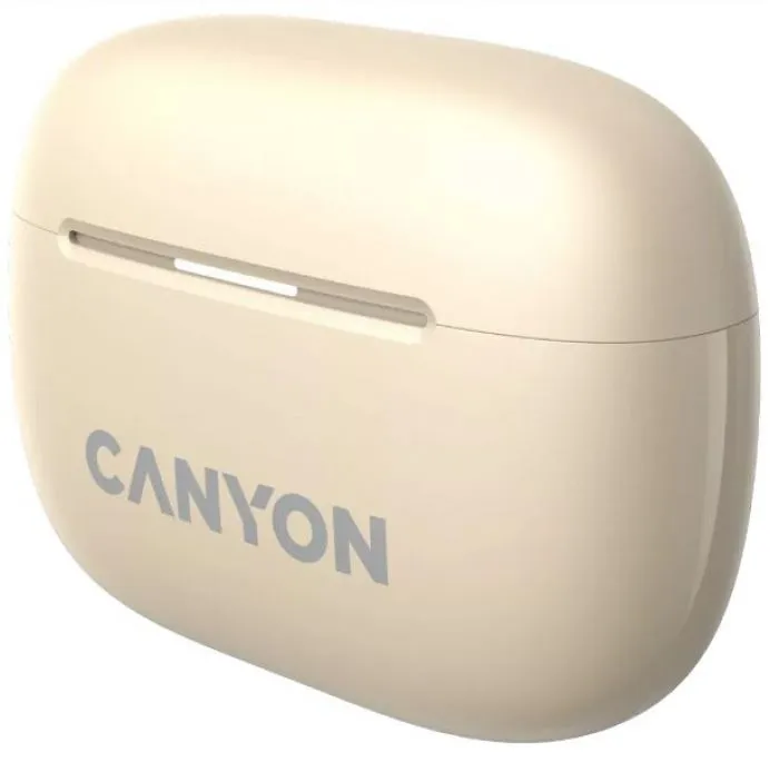 Canyon TWS-10