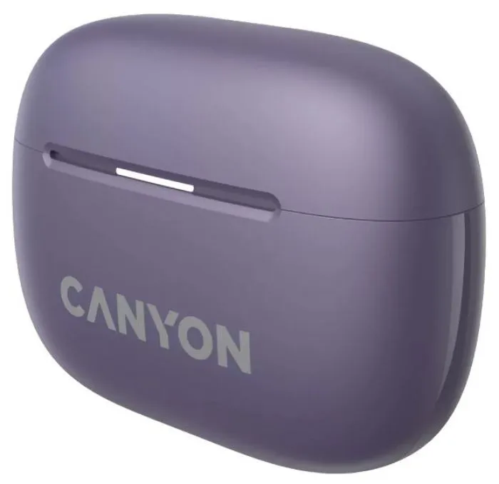 Canyon TWS-10