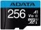 ADATA AUSDX256GUICL10A1-RA1