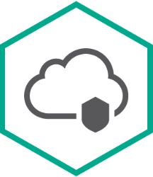 Право на использование (электронно) Kaspersky Endpoint Security Cloud Plus, User. 150-249 Workstation / FileServer; 300-498 Mobile device 1 year Base антивирус kaspersky safe kids russian edition 1 user 1 year base download pack