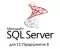 1С MS SQL Server Enterprise 2019 Full-use Core (4 ядра) для пользователей 1С:Предприятие 8
