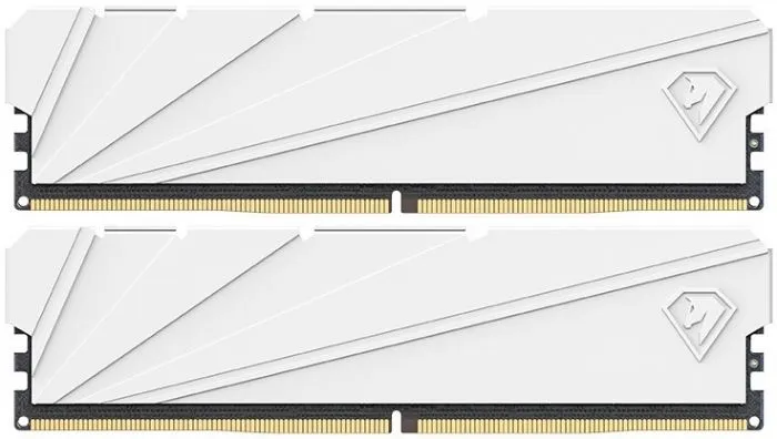 фото Netac NTSSD4P32DP-32W