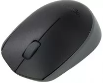 фото Logitech M171