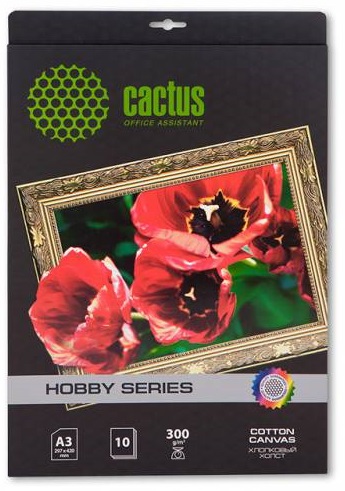 Холст Cactus CS-СA326010