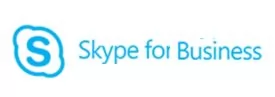 Microsoft Skype for Business Plus CAL Addon (оплата за год)