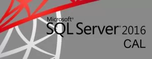 Microsoft SQL CAL 2016 Sngl OLP C UsrCAL