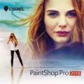 Corel PaintShop Pro 2018 Corporate Edition (5-50)