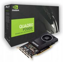nVidia Quadro P2200 (900-5G420-2500-000)