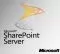 Microsoft SharePoint Server AllLng LicSAPk OLV NL 1Y AP