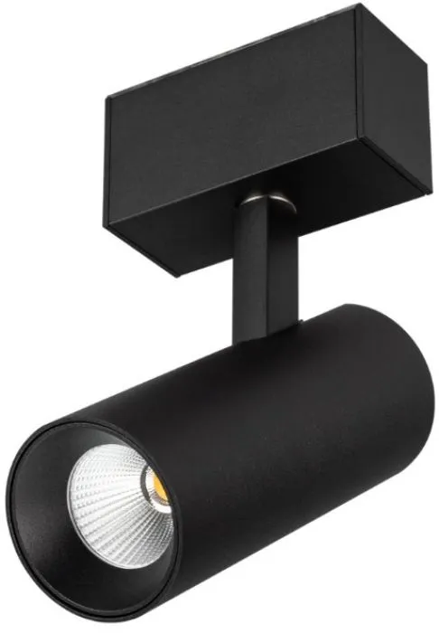 Arlight MAG-SPOT-45-R85-12W Warm3000