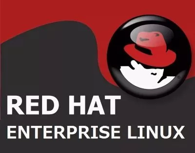 Red Hat Enterprise Linux Workstation, Self-support (Up to 4 Guests)