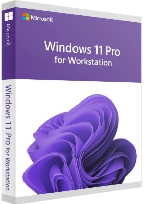 Право на использование OEM Microsoft Windows 11 Pro for Workstations 64-bit Russian 1pk DSP OEI DVD