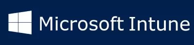 Microsoft Intune Extra Storage Corporate Addon (оплата за месяц)