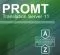 PROMT Translation Server 11 Standard, Многоязычный