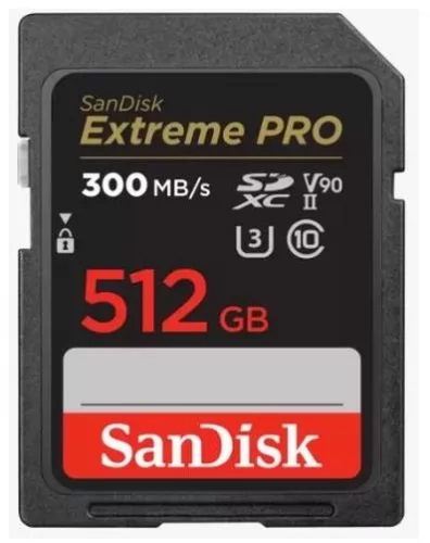 SanDisk SDSDXDK-512G-GN4IN