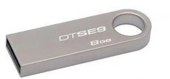 фото Kingston DTSE9H/8GB