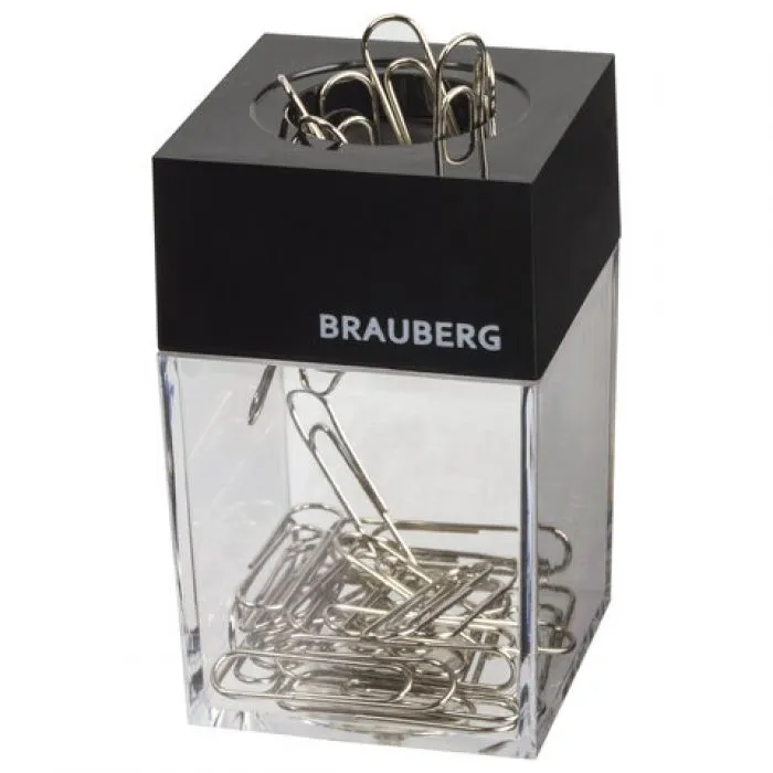 BRAUBERG 225189