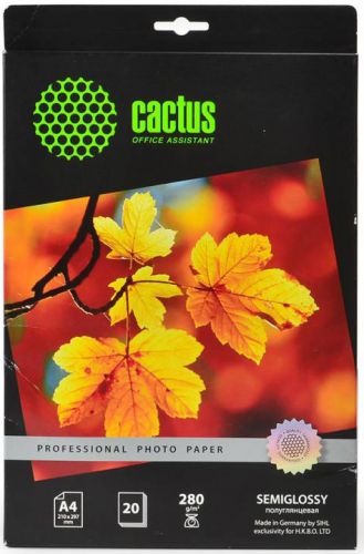 Фотобумага Cactus CS-SGA428020 A4/280г/м2/20л./белая, полуглянцевая для струйной печати