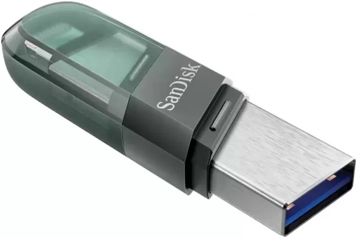 SanDisk SDIX90N-256G-GN6NE