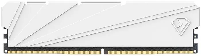 фото Netac NTSSD4P32SP-16W