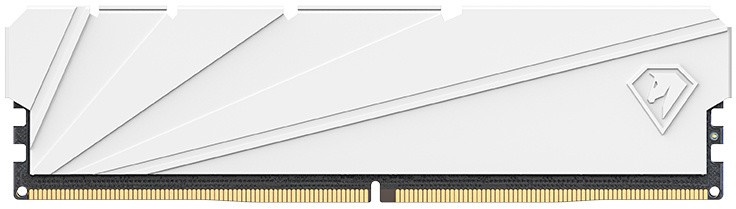 

Модуль памяти DDR4 16GB Netac NTSSD4P32SP-16W Shadow S White PC4-25600 3200MHz CL16 радиатор 1.35V, NTSSD4P32SP-16W